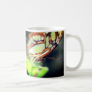 Caneca De Café Borboleta Face Natureza Personalizada