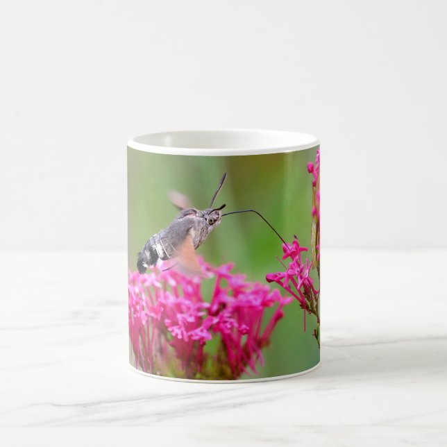 Caneca De Café Borboleta Hawk-moth Hummingbird em voo (Centro)