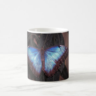 Caneca De Café Borboleta Morpho Comum