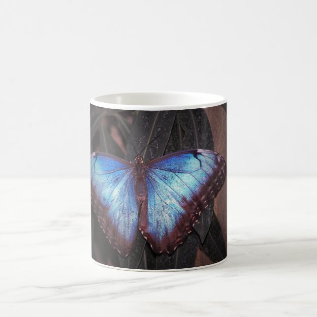 Caneca De Café Borboleta Morpho Comum (Centro)