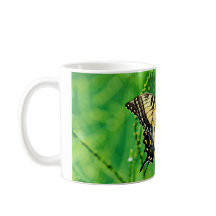 Borboleta oriental de Swallowtail do tigre