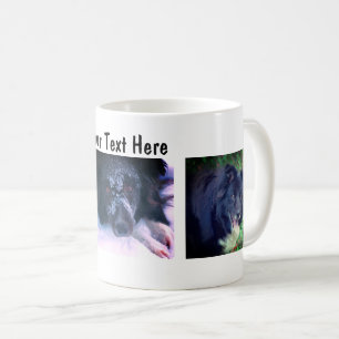 Caneca De Café Border Collie Trio Dog Fotografia