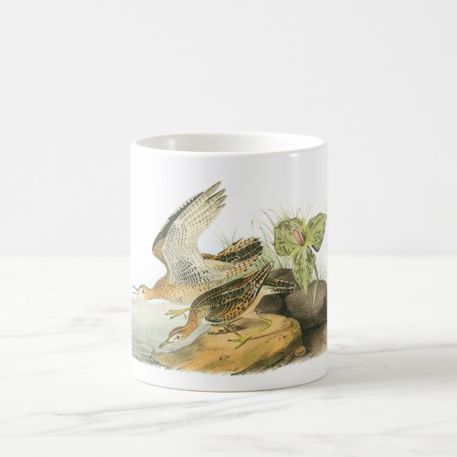 Caneca De Café Borrelho de Upland por Audubon (Centro)