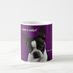 Caneca De Café Boston Terrier:  Biscoito por favor?