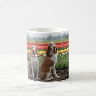 Caneca De Café Bracco_italiano group.png