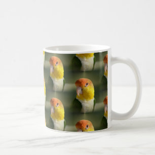 Caneca De Café Branco bonito papagaio inchado do Caique