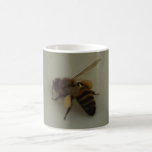 Caneca de café branco da abelha do mel