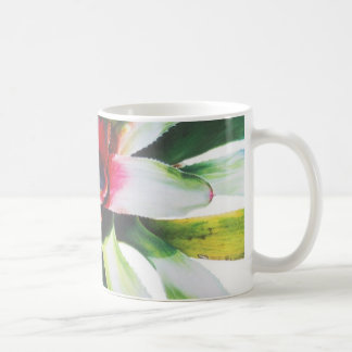 Caneca De Café Bromeliad