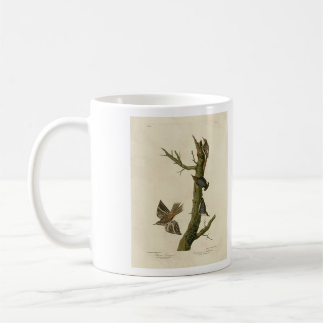Caneca De Café Brown Creeper, Pygmy Nuthatch do Pássaro de Audubo (Esquerda)