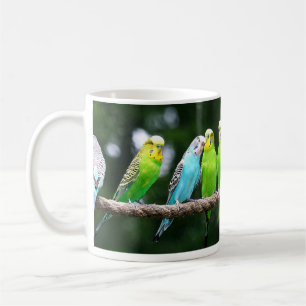 Caneca De Café Budgies colorido