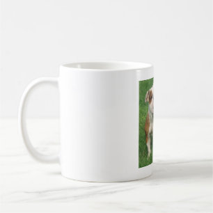 Caneca De Café Bulldog Mug