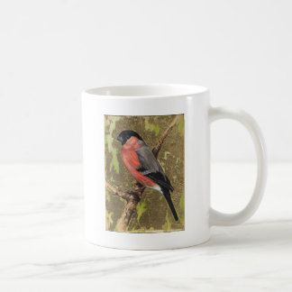 Caneca De Café Bullfinch