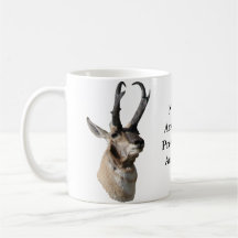 Cabeça de Antílope Pronghorn A18