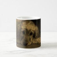 Cachorro Doce - Retriever de Ouro em Tom Sepia
