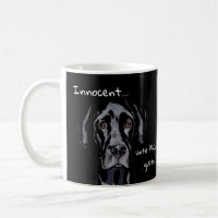 Cachorro Engraçado Cachorro Innocente