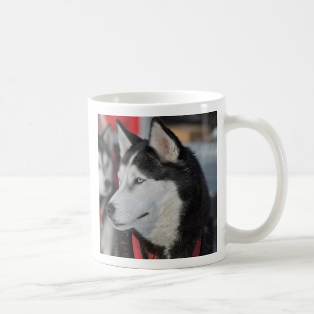 Caneca De Café Cachorro Husky antes de uma corrida, Canadá (Direita)