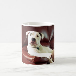 Caneca De Café cachorro pit bull branco engraçado no sofá