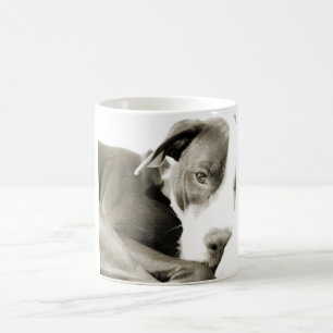 Caneca De Café Cachorro pit bull preguiçoso e fofo dormindo