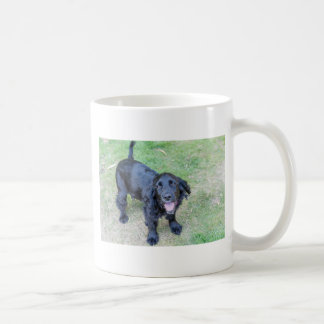 Caneca De Café Cachorro Preto