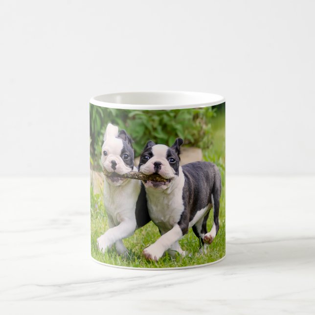 Caneca De Café Cachorros "Cute Boston Terrier" brincando (Centro)