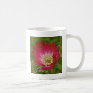 Caneca De Café Cactus Flower
