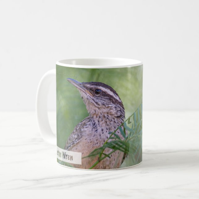 Caneca De Café Cactus Wren Mateus 6:25 KJV (Frente Esquerda)