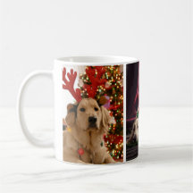 Cães Festivos Design de Natal | Cães de Férias Fof