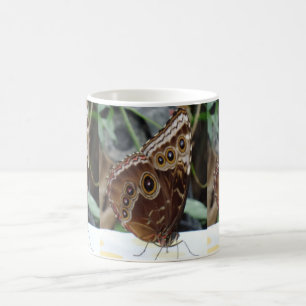 Caneca De Café Café Mangueira Branca