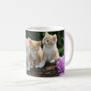 Caneca De Café Café Mug Kittens
