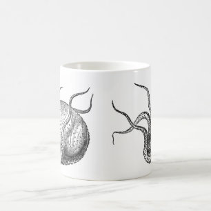 Caneca De Café Calamar gigante