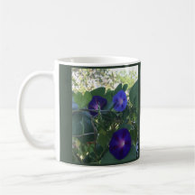 Caleidoscópio de Ipomoea