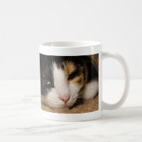 Calico Face Café Mug