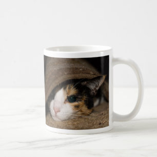 Caneca De Café Calico Taco Café Mug