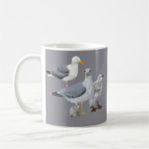 California Gull Mug