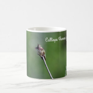 Caneca De Café Calliope Hummingbird