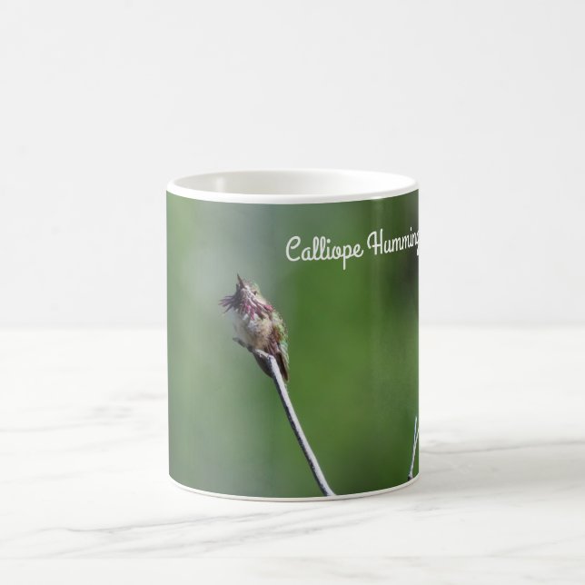 Caneca De Café Calliope Hummingbird (Centro)