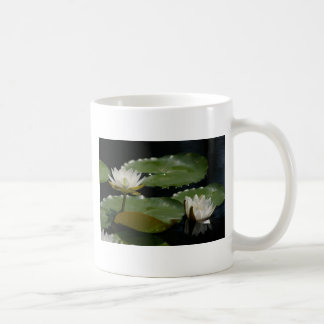 Caneca De Café Cama de Água Branca