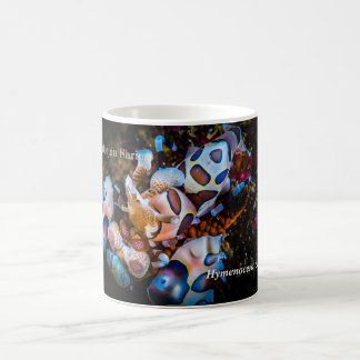 Caneca De Café Camarão-Palhaço, Hymenocera picta,