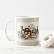 Camelos da Índia Ilustração Vintage, 1820