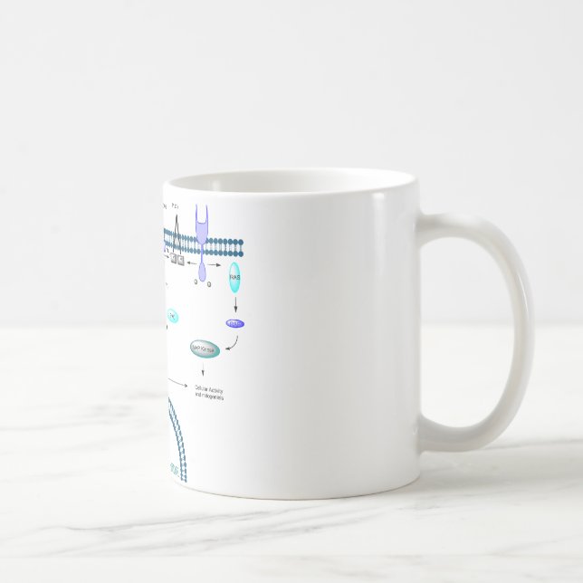 Caneca De Café Caminho de GPCR (Direita)