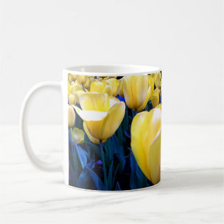 Caneca De Café campo amarelo da tulipa