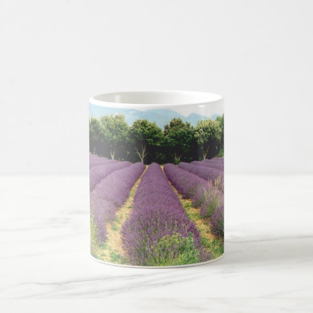 Caneca De Café Campo da lavanda - Drome Provencal, France (Centro)