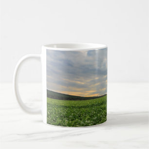 Caneca De Café Campo do sugarbeet no por do sol
