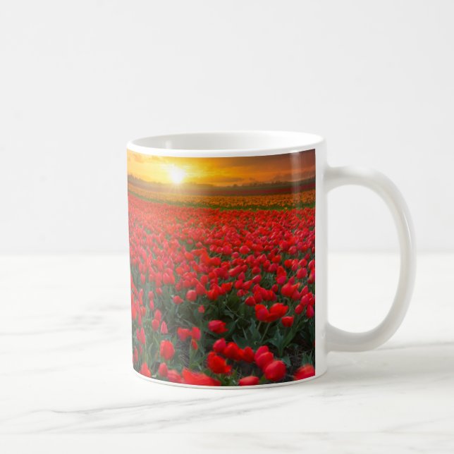 Caneca De Café Campos da tulipa no por do sol nos Países Baixos (Direita)