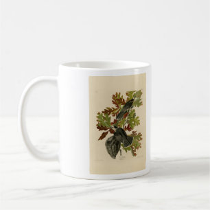 Caneca De Café Canada Jay (Cinza Jay) - Audubon's Birds of Americ
