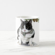 Caneca: Felix, o gato, acampando em agosto