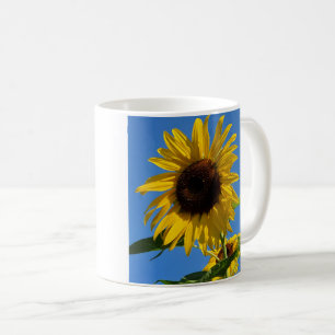 Caneca De Café Canela de girassol