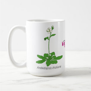 Caneca De Café Caneta de Arabidopsis