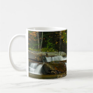 Caneca De Café Canhão de Cascata do Dia da Terra