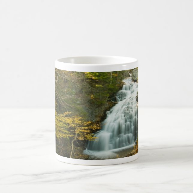 Caneca De Café Canhão de Cascata do Dia da Terra (Centro)